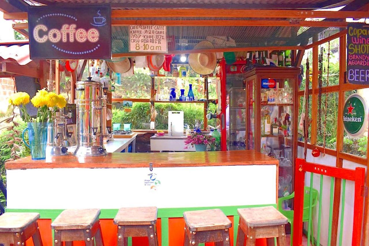 Hostal Estrella De Agua Salento Bagian luar foto