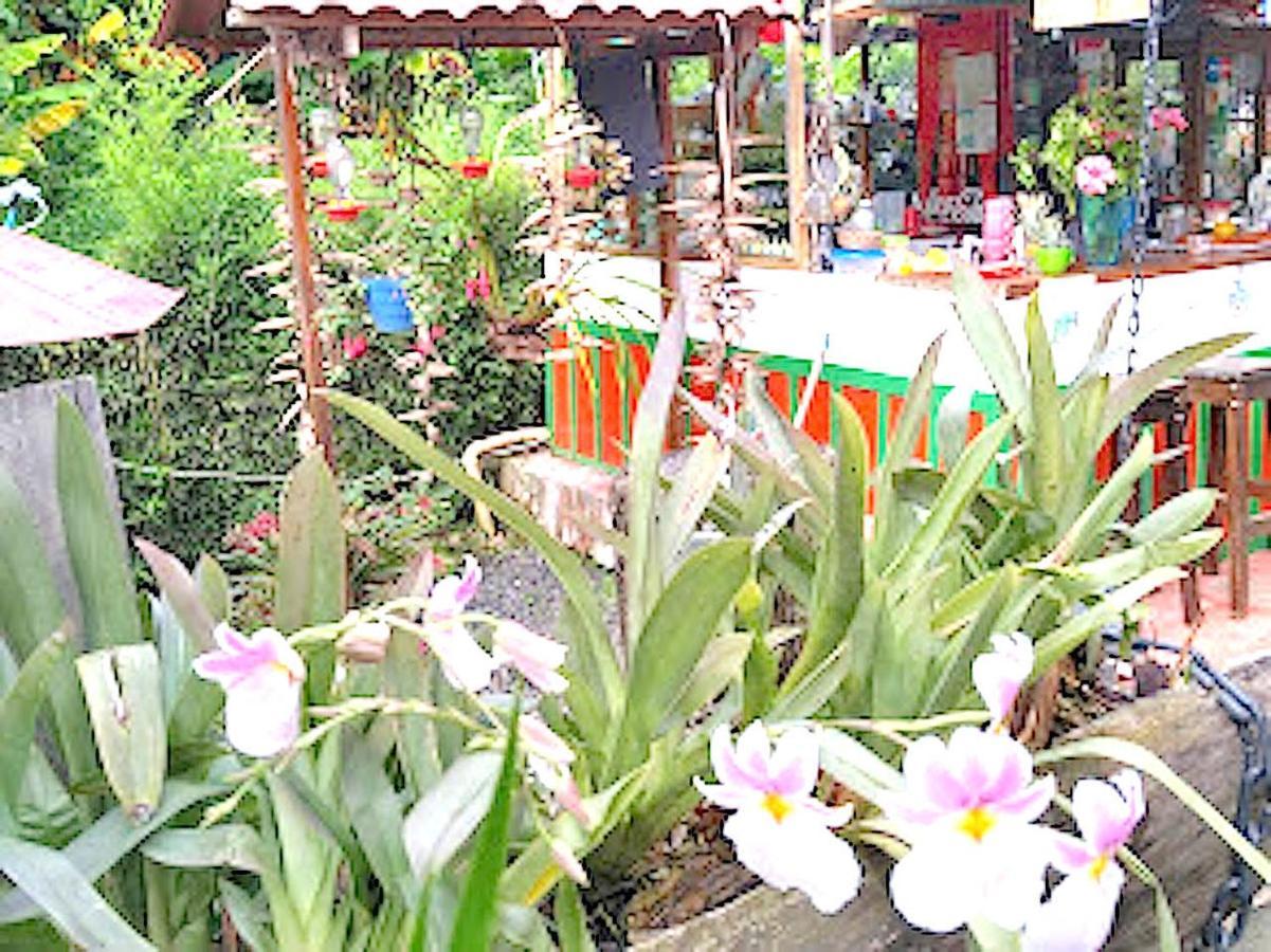 Hostal Estrella De Agua Salento Bagian luar foto
