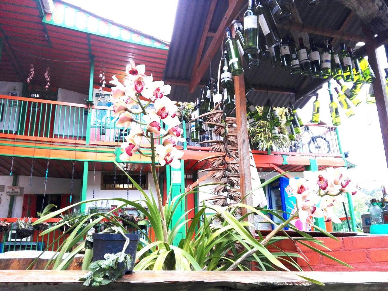 Hostal Estrella De Agua Salento Bagian luar foto