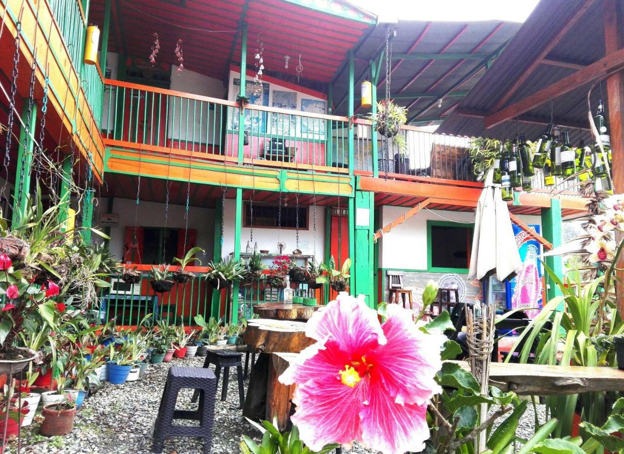 Hostal Estrella De Agua Salento Bagian luar foto